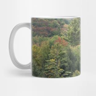 Autumn in the Adirondack Mountains!! Mug